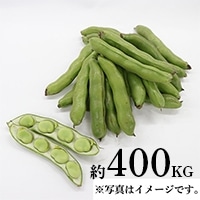 瓤(pbN) 400G