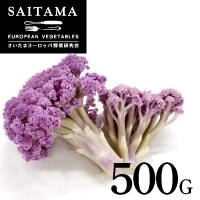 �J���t���[�����@500G