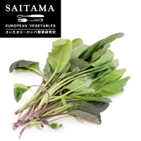 サラダ紫小松菜（緑×紫）MIX 100G: 特別在庫品 KANTO EXPRESS - 食空間