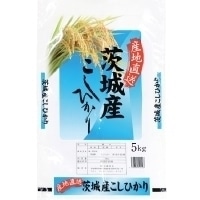 茨城産 こしひかり 令和6年産 5KG
