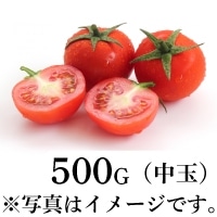 コ̊Ïnʃg}g 500G