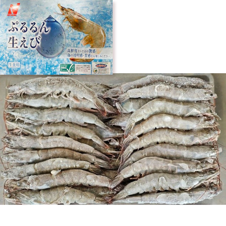 �Ղ��񐶂���ASC 35��(���H�p)�L���o�i���C 1KG