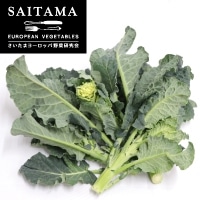 �A���b�^�@200G