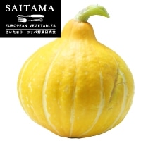 �T���_���ڂ��� �R�����L�[ ��ʌ��Y 400G