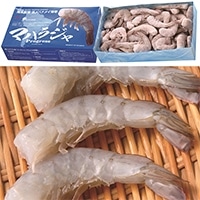 oiCkt}nWC{B 16/20 IQF 1.8KG