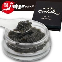 ���]�˃L���r�A 2.8MM (�r����) 25G