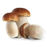 Ⓚ|`[jIQFZbv uV 2-4CM 1KG