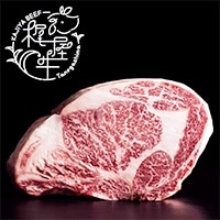 �y�ʂ蔄��z���������u���[�X�n�[�t�u���b�N ��2�`3KG�O��