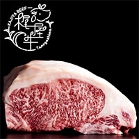 yʂ蔄zT[Cn[tubN 2KGO