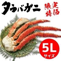 �y����zY)�{�C���^���o�V�������N(���V�A�Y)5L 1KG