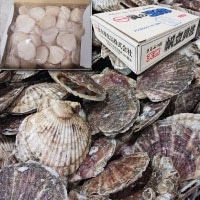 ��)���Y �����L��5S 1KG