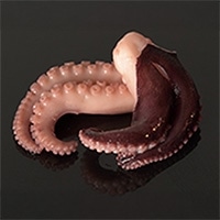 �������~�|2�{��