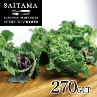 �v�`���F�[����p�b�N�@270gUP