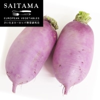 ���ނ炳���卪�i���j ��ʌ��Y 400G