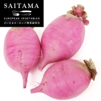 ��������卪�i�ԁj ��ʌ��Y ��400G