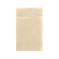 6�܃i�v�L��(���N)�X�g���[�g 100��