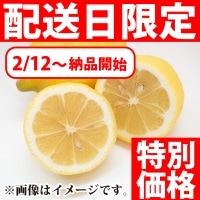 ��)������(165�ʃT�C�Y) 10�p�b�N