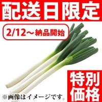 ��)H)���c����̒��˂�(���T�C�Y) 5�{��