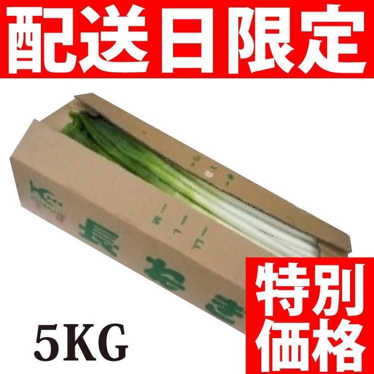 ��)�˂� B�i(�s����) ��ʎY�� 5KG
