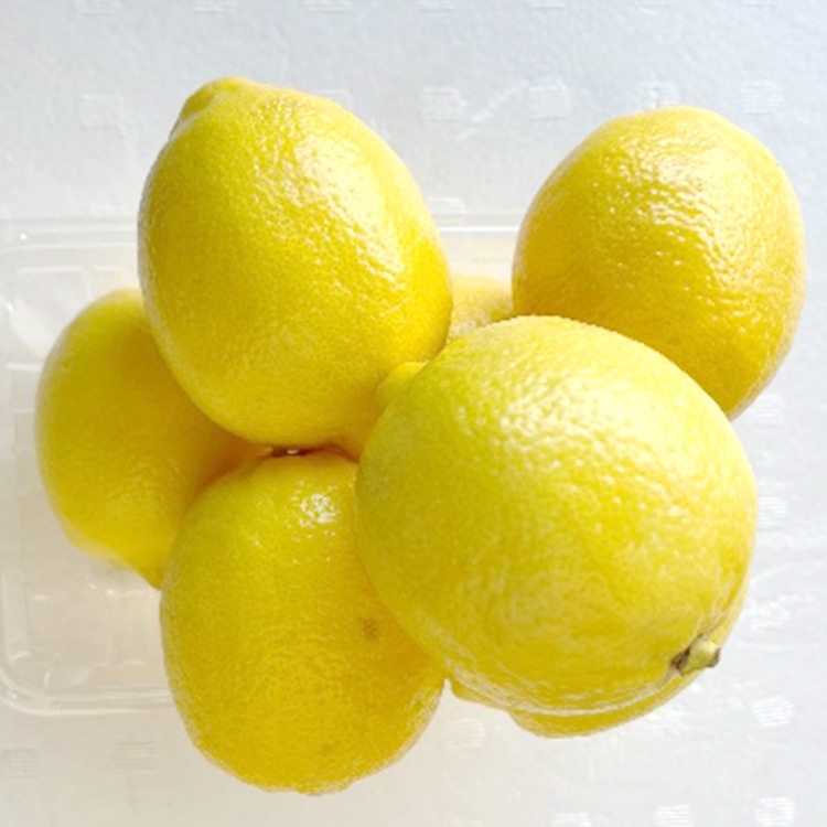 ���Y������ ��500G
