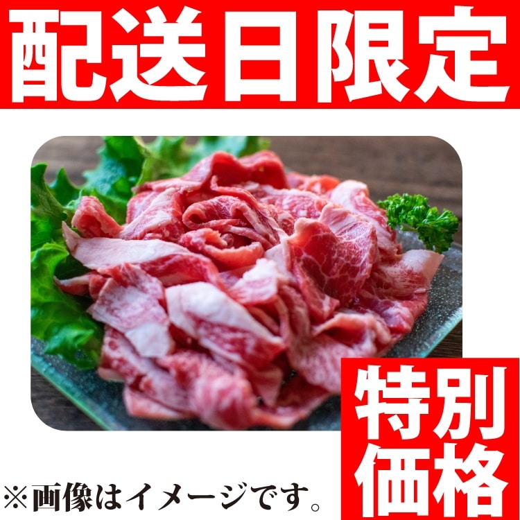�y���ʌ���z���B�a���؂藎�� 500G