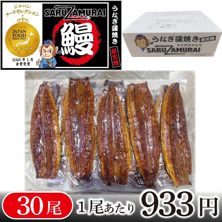 T)�yCS�z�����V������ 30���i�o���^�C�v�j