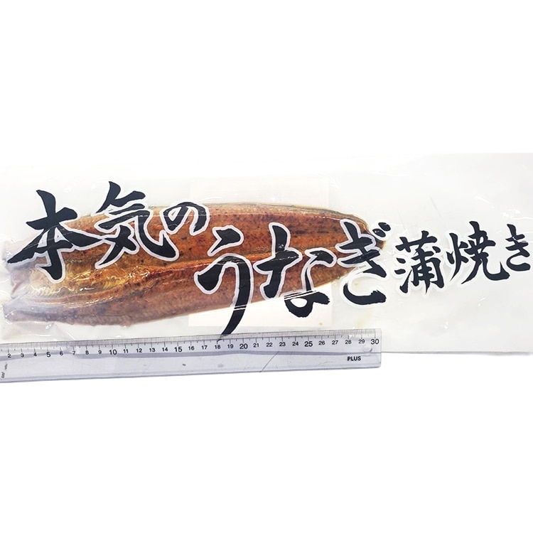 Y)�{�C�̉V����(�^��p�b�N)50���T�C�Y ��200G