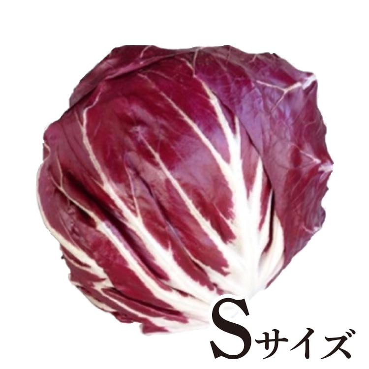�y������̃��f�B�b�L�I�L�I�b�W�� S 250�`350G