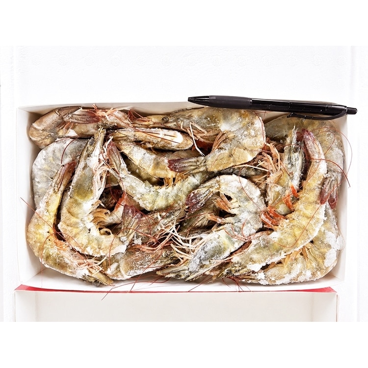 Y)�L���o�i���C �_�̊C�V 20/30��(���H�p) 1KG