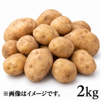 ���Ⴊ��(�����Y)�@���I�ʁ@��2KG