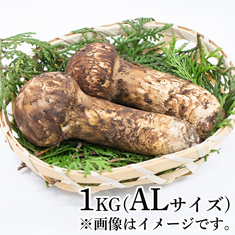�����Y����AL�T�C�Y 1KG