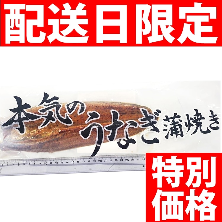 ��)�{�C�̉V����(�^��p�b�N)50���T�C�Y ��200G