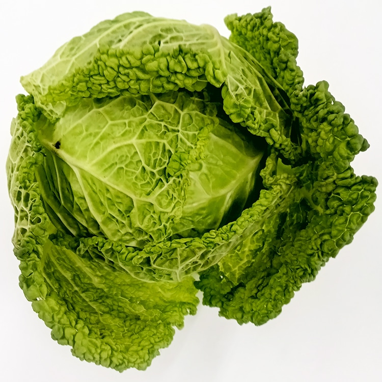 �y������̒ڗ��T�{�C����ׂi�J���H