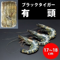 有頭ブラックタイガー 40尾 1.3KG