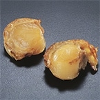 ���ΏĔ���(��110�P�O��j