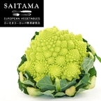 ���}�l�X�R(��ʎY)�@M�T�C�Y