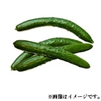 イ@ai*s(ʑ)1KG