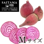 SSM ʌY 3