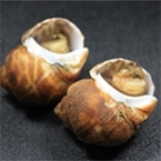 �o�C�L���B�� ��45��