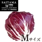 fBbLIELIbW ʌY MTCY 1