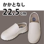 JCM T{RbNV[Y (JJg)  22.5cm