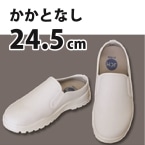 JCM T{RbNV[Y (JJg)  24.5cm