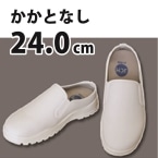 JCM T{RbNV[Y (JJg)  24cm
