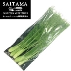 XeBbLI(XeBbNtFl)S ʌY 5{