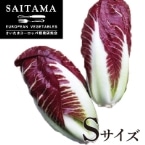 gB[] STCY(ȉ~) ʌY 1