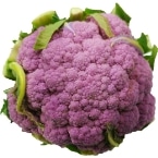 �� �J���t�����[ ��ʌ��Y