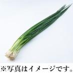 H)���K[�t�˂�]�@�p�b�N