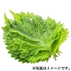 H)��t(���Y)�k�@10�����@�p�b�N