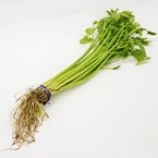 H)�Z��(��鑼)�@�p�b�N