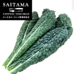 �J�[�{���l���l(���L���x�c)���N100G��ʌ��Y